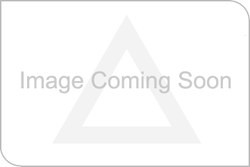 ComingSoon360x240.gif